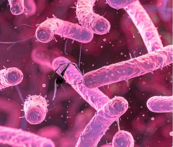Test de análisis clínico Trombofilia GNT (saliva). MTHFR (Variantes A1298C y C677T)